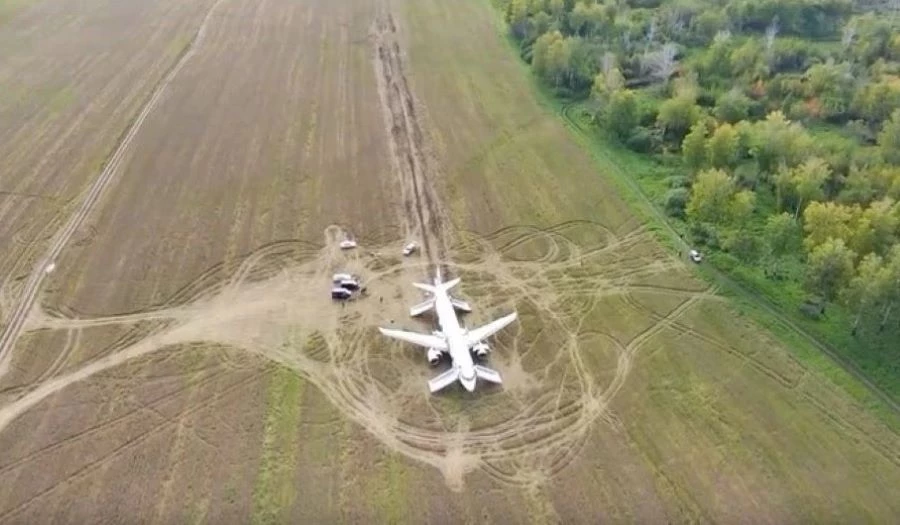 Airbus A320 в поле в Новосибирской области. Фото: Уральские авиалинии