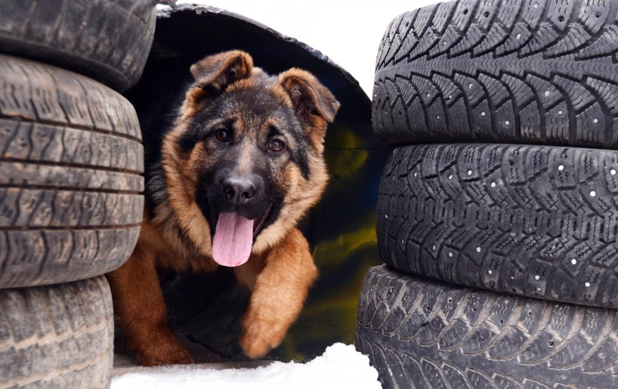 Фото: Илья Наймушин, РИА Новости