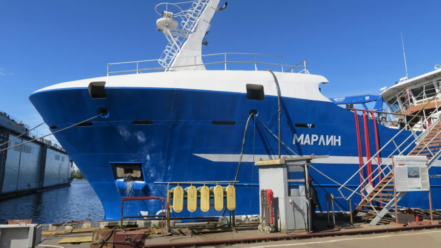Ярусолов-процессор «Марлин» (проект МТ1112XL). Завод-строитель — Судостроительный завод «Северная верфь». Фото: Дмитрий Матвеев / Mashnews