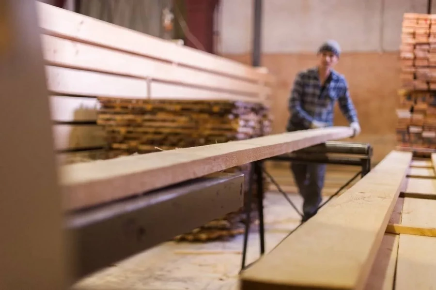 Иллюстративное фото: СЕВЕРЛЕСГРУП