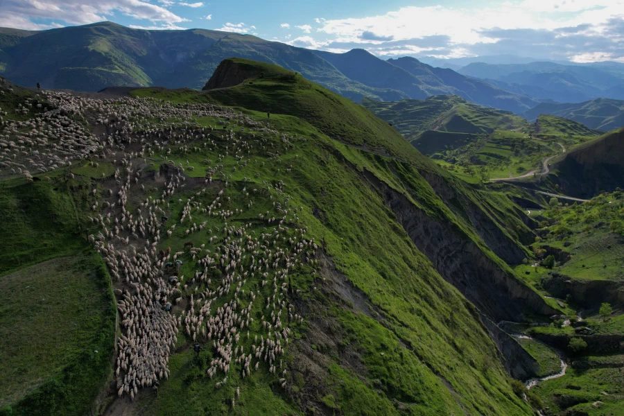 Иллюстративное фото: ГОРА