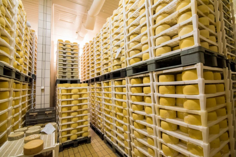 Фото: olegbraginsky.ru