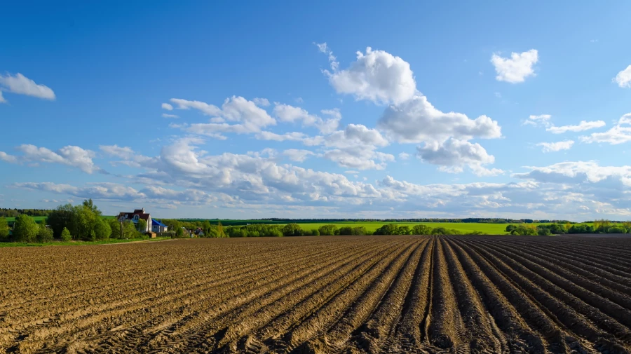 Фото: photocentra.ru