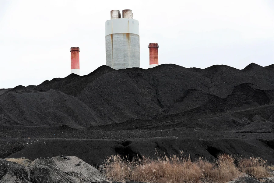 Фото: pravilamag.ru