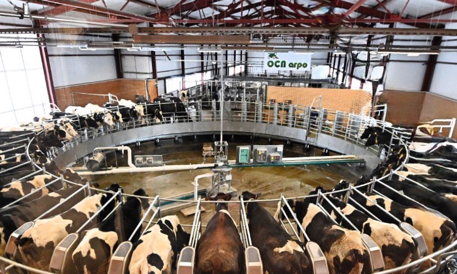 Институт конъюнктуры аграрного рынка считает, что 2025 год для российского агропрома был успешным