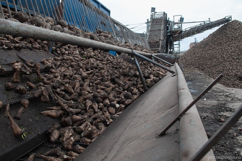 На сахарном заводе в России людей завалило замёрзшей свёклой