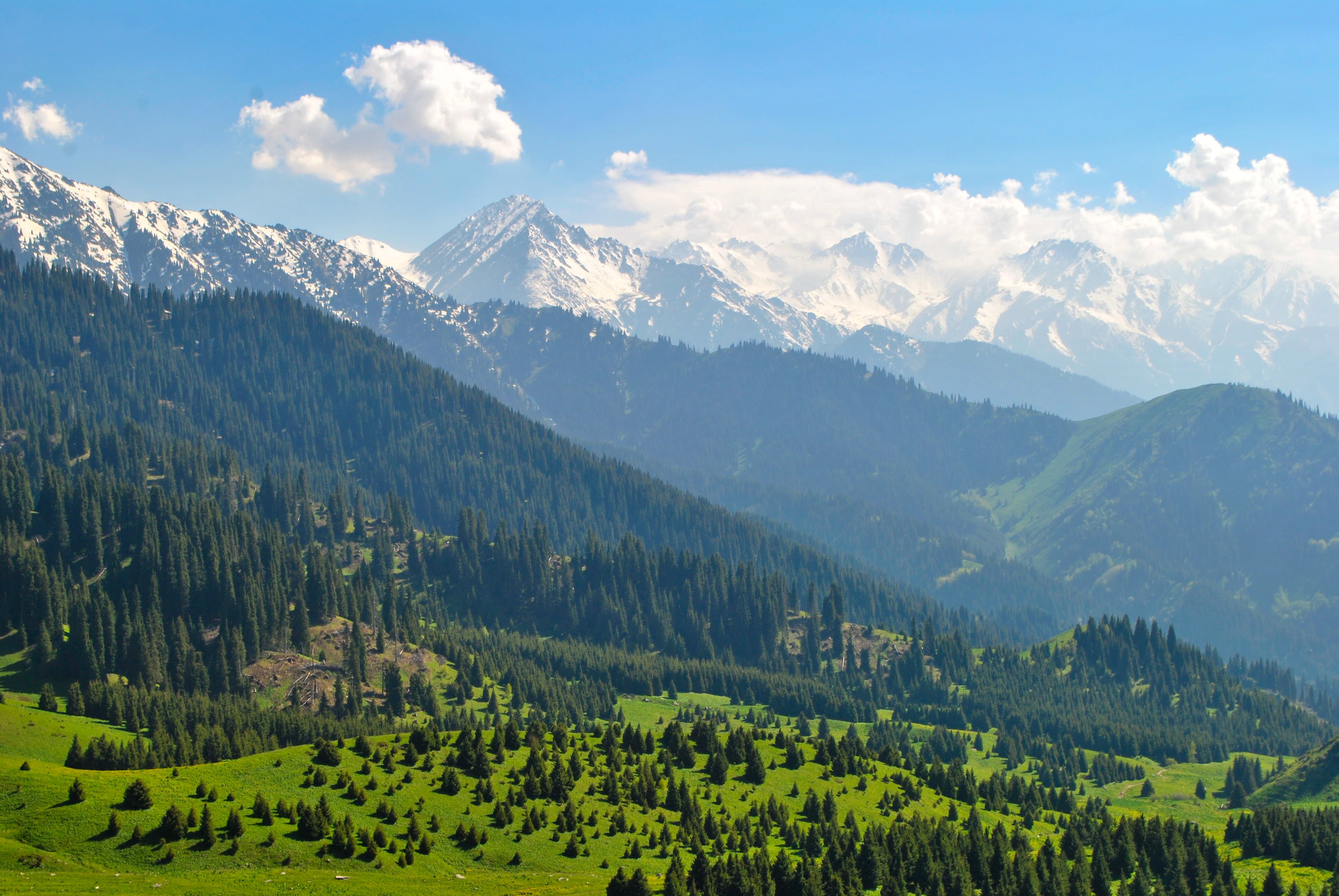 На территории Казахстана будет построен завод по изготовлению алюминиевых автодисков