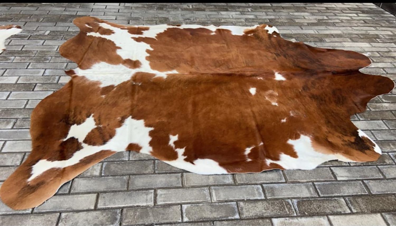 В Казахстане ведётся разработка инновационной технологии для выделки шкур крупного рогатого скота