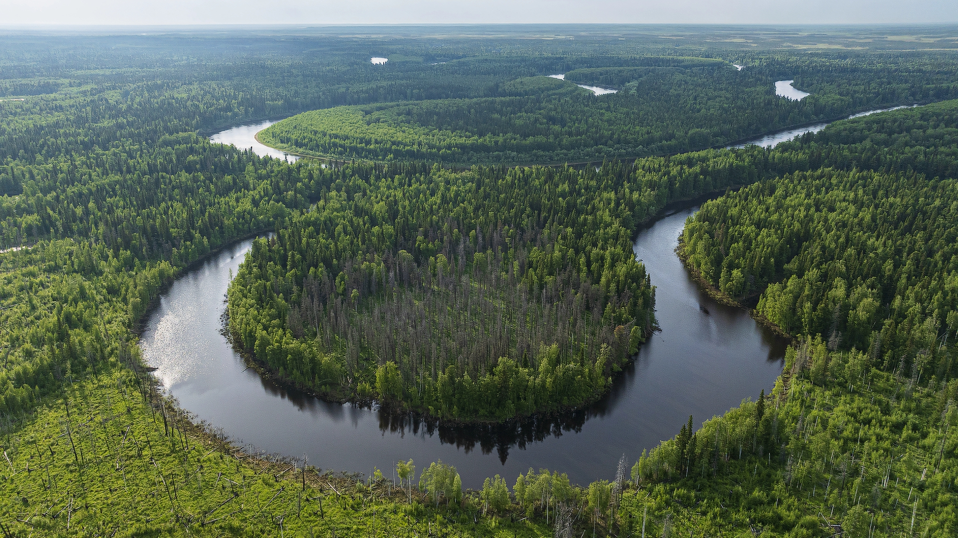 Власти Ямала заявили о достижении равновесия между промышленным ростом и сохранением окружающей среды